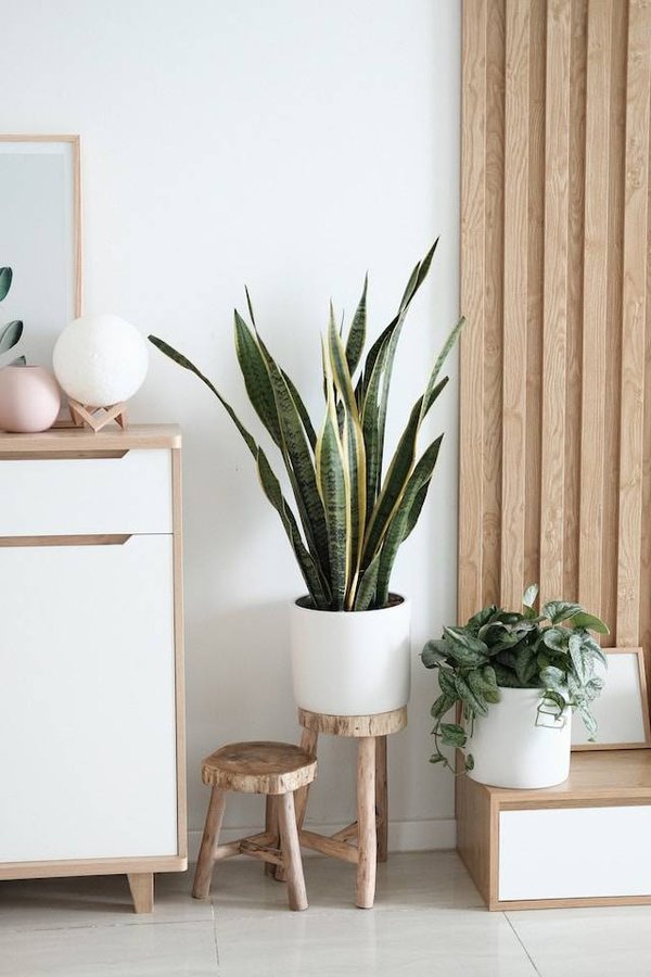 Comment suivre et se renseigner sur les styles et les tendances de la déco?